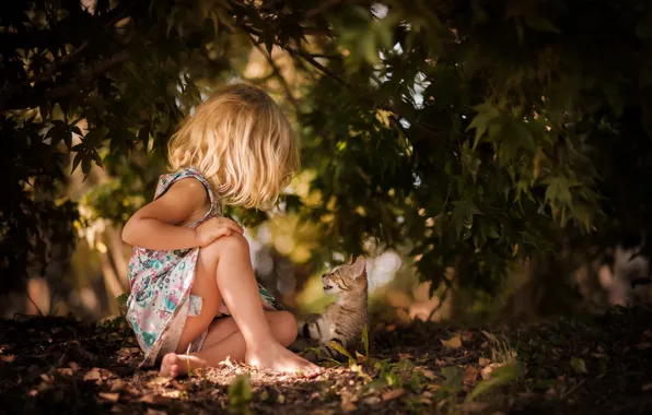 Picture cat, trees, branch, foliage, girl, kitty, bokeh, communication