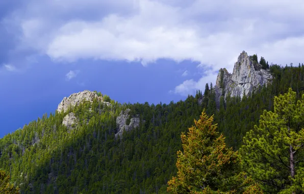 Wallpaper slope, mountains, the sky, rocks, forest