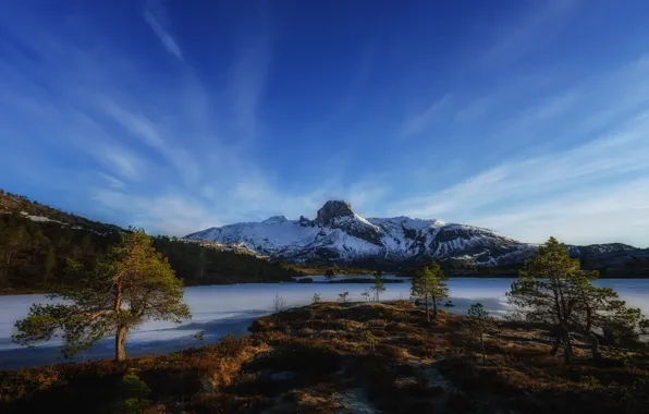 Picture the sky, snow, trees, mountains, river