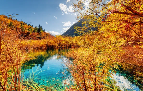 Autumn, forest, trees, mountains, yellow, lake, China, Sunny