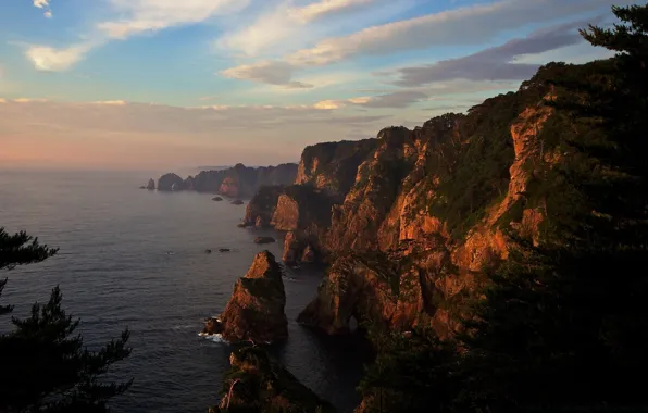 Sea, the sky, clouds, trees, sunset, nature, rocks, the evening