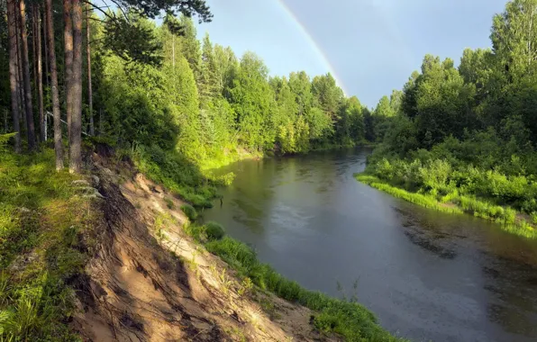 Forest, rainbow, pine, river
