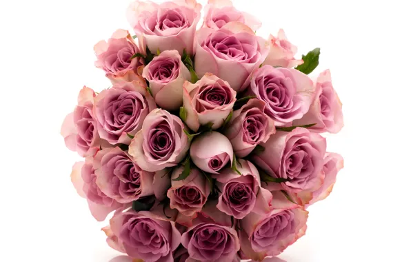 Picture flower, flowers, roses, bouquet, beautiful