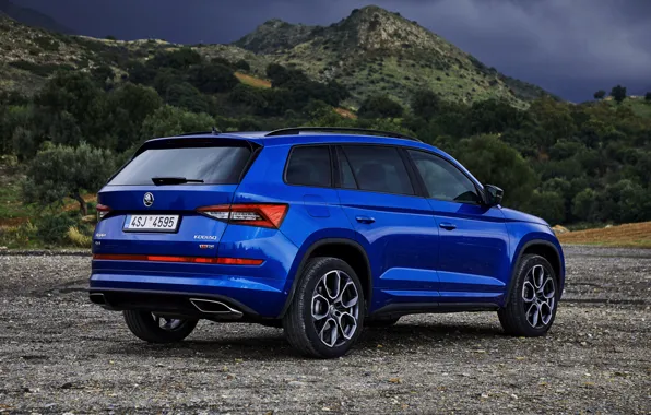 Drives, 2018, crossover, SUV, Skoda, Skoda, 2019, Kodiaq RS
