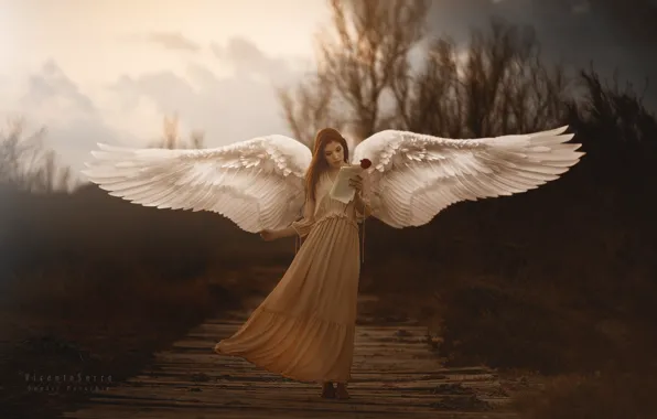 Girl, wings, Sometimes Araceli