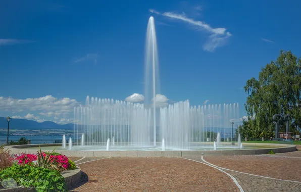 Trees, flowers, mountains, squirt, lake, fountain