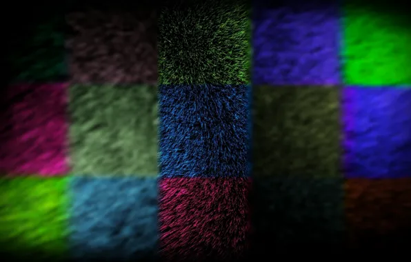 Wool, fur, colorful, square