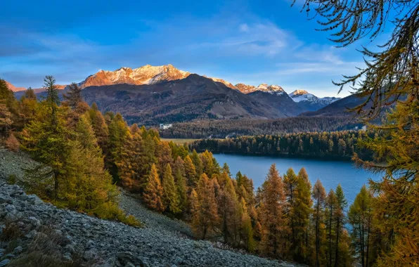 Autumn, forest, trees, mountains, lake, Alps, Switzerland, Alps