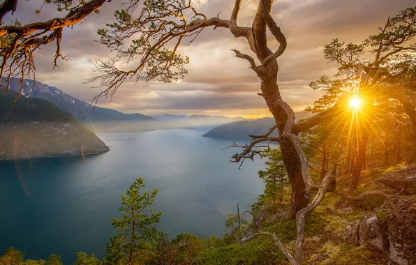 Picture trees, sunset, mountains, stones, rocks, Norway, Bay, the rays of the sun