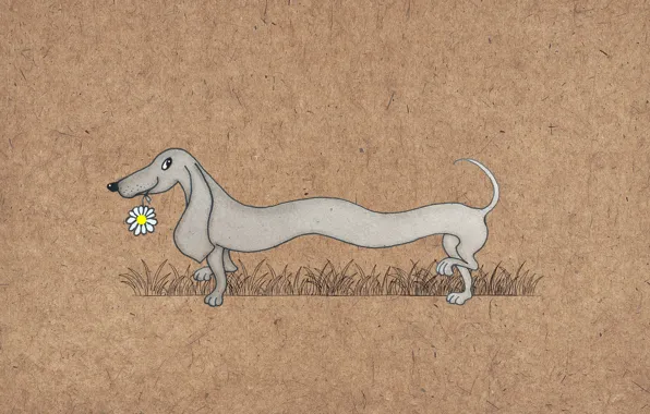 Figure, dog, Dachshund