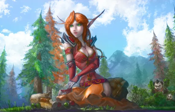 Picture wow, world of warcraft, blood elf, pandaren