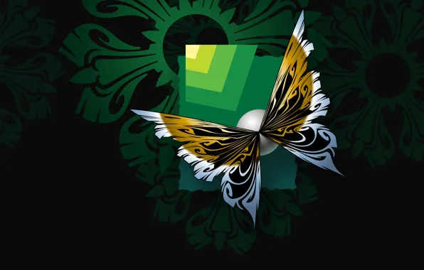 Summer, night, nature, butterfly, vector, computer graphics