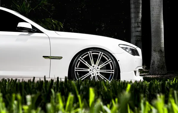 Picture white, grass, lawn, BMW, BMW, drives, seven, the seventh series of the