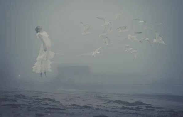Sea, girl, fog, shore, seagulls