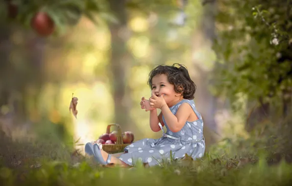 Picture nature, mood, apples, girl