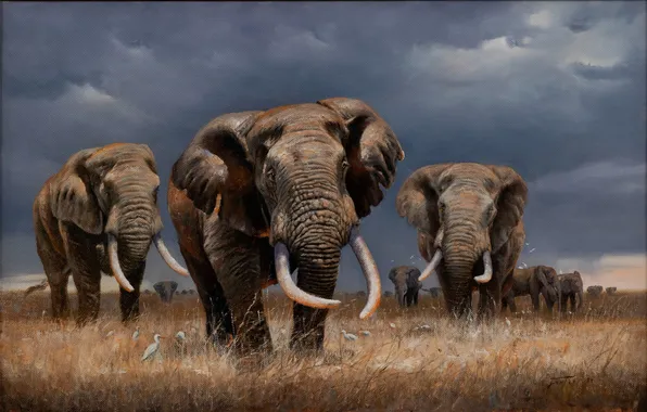 Picture Picture, Elephants, American artist, Eric Forli, Eric Forlee