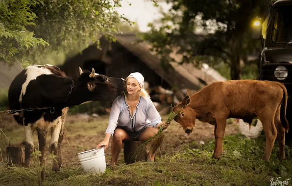 Girl, pose, cow, blonde, bucket, calf, milkmaid, Ilya Garbuzov