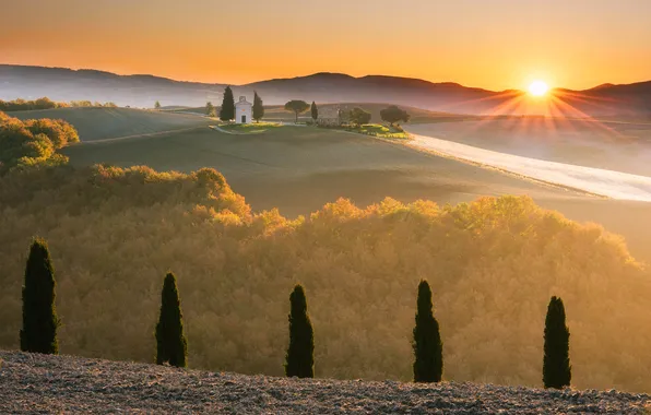 Forest, the sun, trees, fog, hills, field, morning, Italy