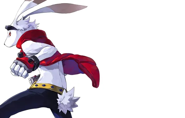 Rabbit, anime, animal, hero, japanese, gloves, bakemono, Summer Wars