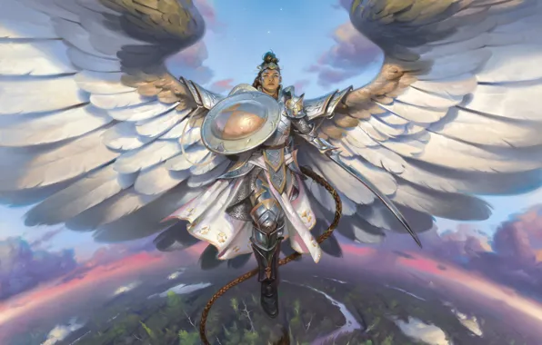 Wings, sword, armor, horizon, helmet, braid, shield, art