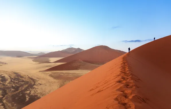 Picture desert, sand, dawn, heat