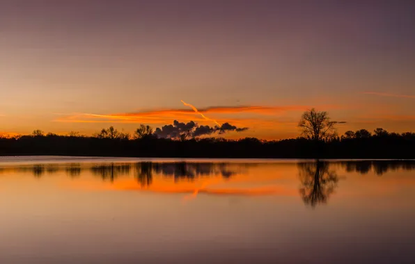 The sky, clouds, trees, lake, the evening, silhouette, glow