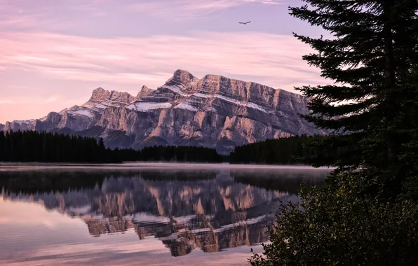 Forest, mountains, nature, lake, reflection, dawn, Two Jack Lake