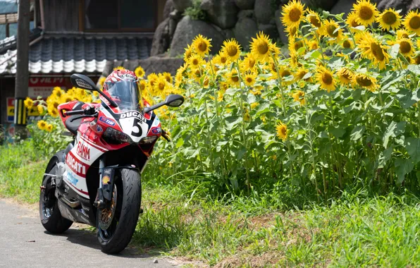 Bike, ducati, PANIGALE