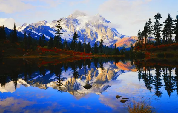 Forest, mountains, nature, lake