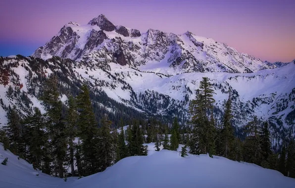 Snow, trees, sunset, mountains, Mountain Shuksan, The cascade mountains, Washington State, North Cascades National Park