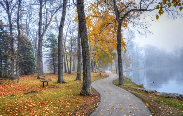 Picture autumn, lake, Park, track, benches