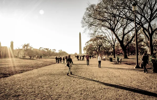 Picture USA, Washington, Monument