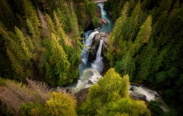 Picture forest, rocks, waterfall, ate, the view from the top, the