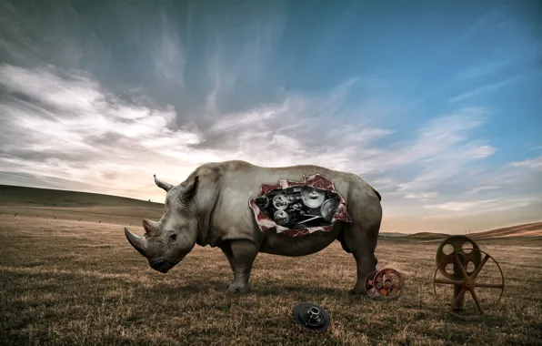 Fiction, mechanism, Rhino