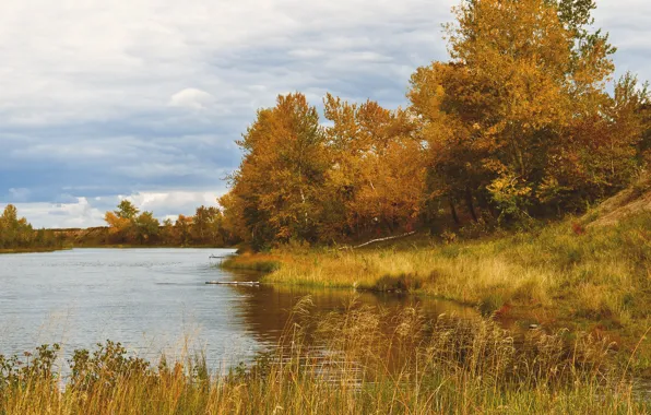 Nature, Autumn, Trees, River, Fall, Autumn, Colors, River