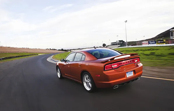 Road, Machine, Orange, Dodge, in motion, Charger, Track