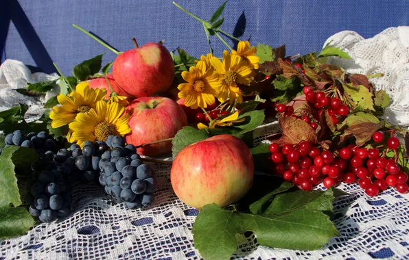 Apples, grapes, Kalina