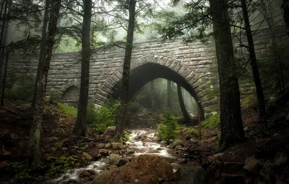 Forest, bridge, river