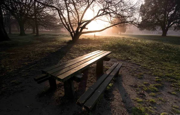 Picture the sun, bench, table, Nature