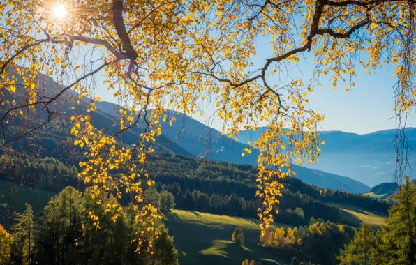 Autumn, forest, the sky, leaves, light, landscape, mountains, branches