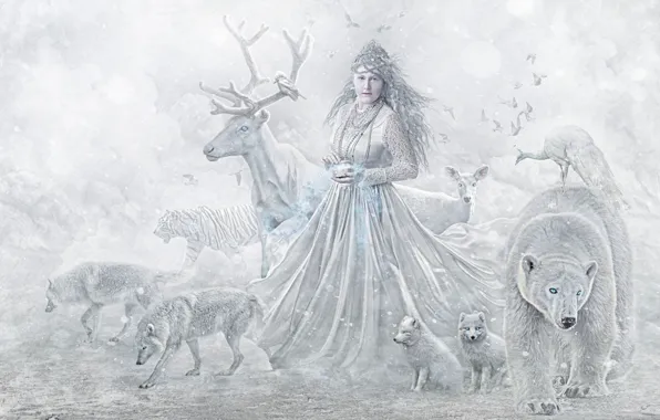 Picture animals, girl, animals, deer, bear, wolves
