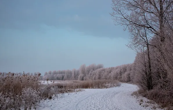 Winter, road, landscape