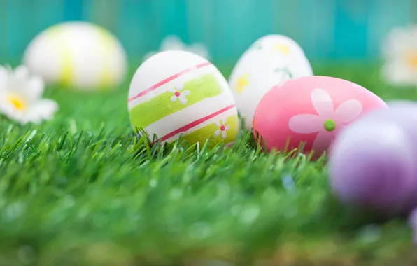 Grass, flowers, Easter, flowers, spring, Easter, eggs, Happy