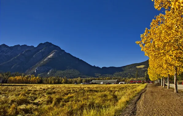 Picture autumn, the sky, grass, trees, mountains, home