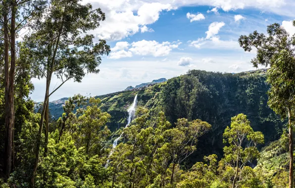 Sea, greens, forest, the sky, the sun, clouds, trees, mountains