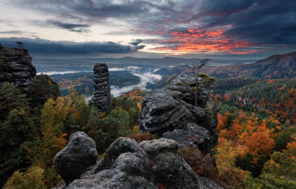 Picture trees, sunset, stones, beauty, Red Sunset