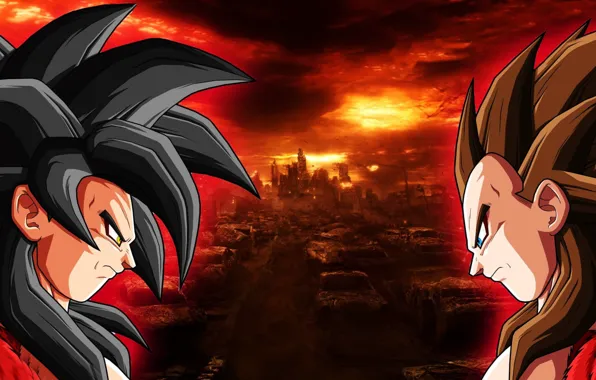Son Goku, Vegeta, Dragon Ball, Super Saiyajin