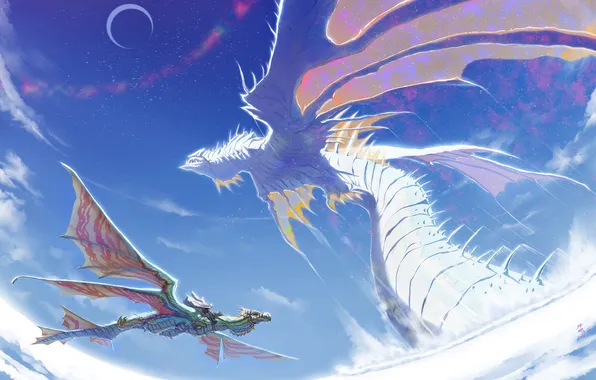Picture fantasy, wings, dragons, anime, rider, flight
