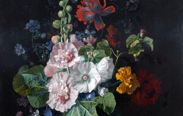 Picture flowers, snail, buds, mallow
