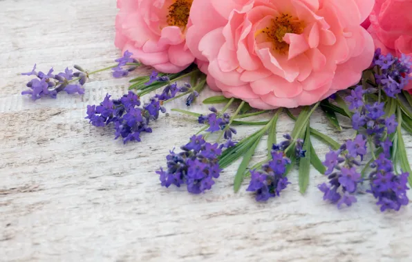 Flowers, pink, buds, wood, pink, flowers, lavender, bud